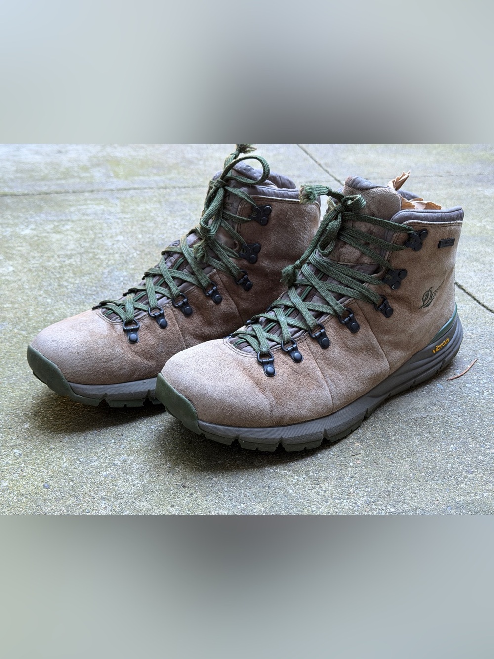 Danner Mountain 600 suede hiking boots (retro, gorp)